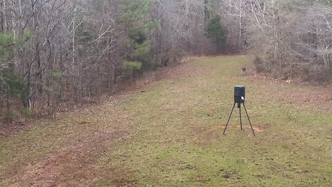 Wahuhi Hunts - Carter’s Field - Jan. 6, 2024