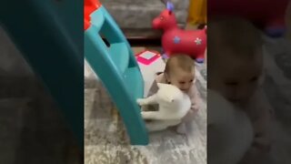 funny cat videos compilation😹best funny cat video 2022
