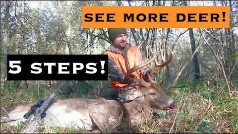 How To Better Your Deer Hunting - 5 Steps