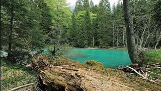 ASMR Blue River Nature Escape