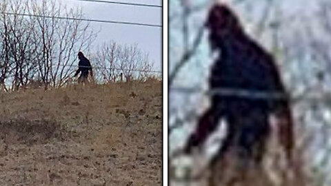 Undeniable Bigfoot Sightings That Defy Explanation