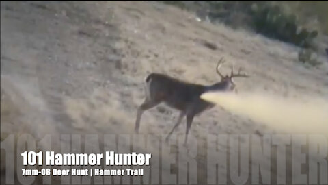 101gr Hammer Hunter | 7-08 Deer Hunt Hammer Trail