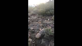 Petroglyph Trail