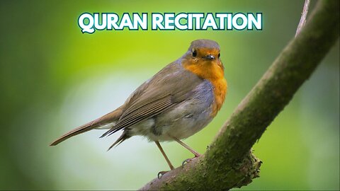 Quran1minute