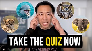 Discover Your Brain Type | Are you a Cheetah, Owl, Dolphin, or Elephant?