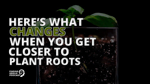 Here’s What Changes When You Get Closer to Plant Roots