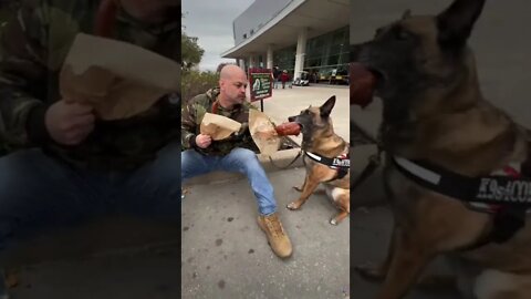 Touring Rodeo Houston with K9s4cops