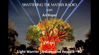 Light Warrior Update and Pep talk Series - #2