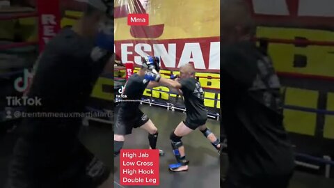 MMA Combo high Jab Low Cross High Hook Double Leg