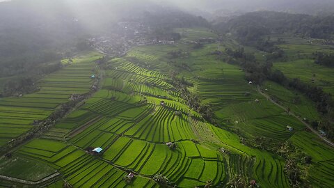 Epic drone footage captures beauty of Bali rice fields