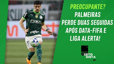 DERROTA do Palmeiras pro Botafogo PREOCUPA e LIGA O SINAL DE ALERTA no Verdão? | PAPO DE SETORISTA