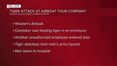 Tiger attacks Wooten's Airboat employee
