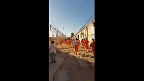 A Prophetic Vision of Guantanamo Bay