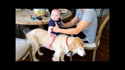 BABY RIDING DOG