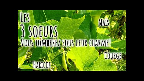 Les TROIS SOEURS 🌽 Technique originale et version ALTERNATIVE 🌻 #237