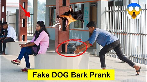 So funny Prank people with fake dog 🤣🤣
