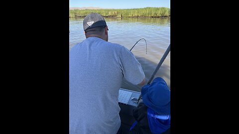 07-01-23 Suisun City, CA - 42” and 49” Sturgeon