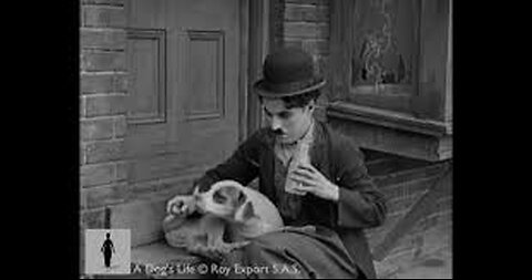 D Boyd - Charlie Chaplin Tribute - A Dog's Life