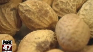 New method in preventing peanut allergies