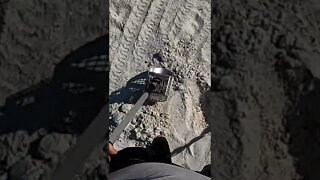 Metal Detecting Florida Beach | Whats in The Sand | Vroom | Equinox #shorts