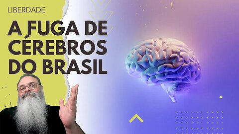 FUGA de CÉREBROS do BRASIL só se ACENTUA a CADA ANO de INSEGURANÇA JURÍDICA a MAIS: COMO RESOLVER?
