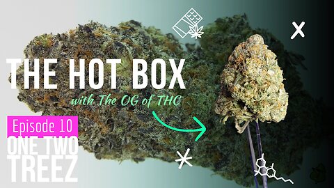 UNBOXING SOME 🔥 FLOWER | THE HOT BOX 🔥 📦 - ONE TWO TREEZ