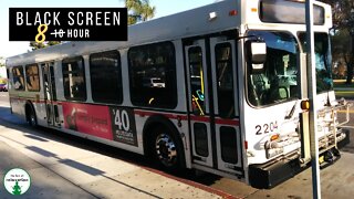 Bus Sound for Sleep | 8 Hour | Black Screen