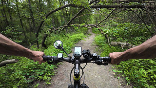 Cycling, 17.06.2024 [G] Lobau