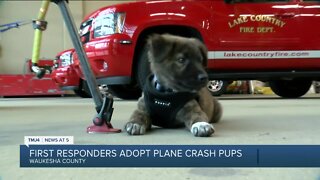 First responders adopt dogs who survive Waukesha County plane crash
