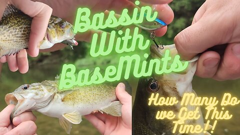 Bassin With BaseMints! What Do we Get This Time!!