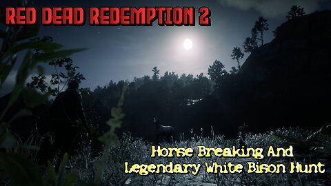 Red Dead Redemption 2| Andalusian Horse & White Bison