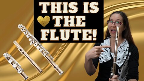 Di Zhao GS-D Series Gold-Silver Flute Review