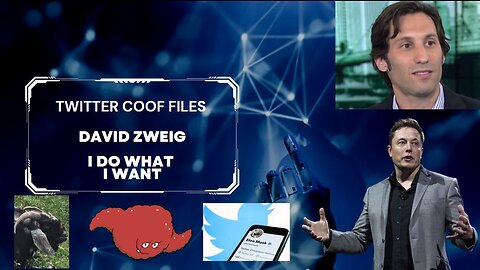 Twitter Files with David Zwieg about the Coof