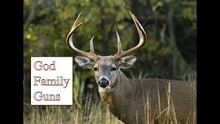 Top 5 Deer Rifles Under $500 Dollars