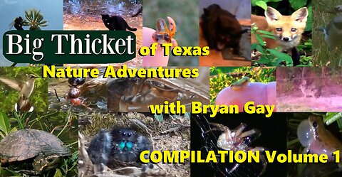 Big Thicket of Texas Nature Adventures with Bryan Gay | Compilation | Volume 1