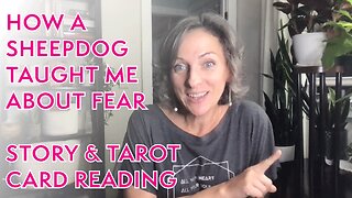 Reflecting on Fear: TIMELESS STORY & TAROT CARD READING