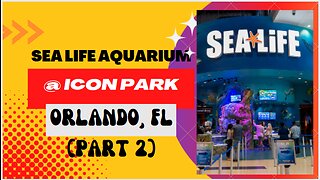 Places to go: SEA Life Aquarium at ICON Park, in Orlando, FL (Part 2)