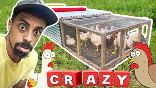 HELP! All these CHICKENS are making me CRAZY 🤪 | How I take care of them