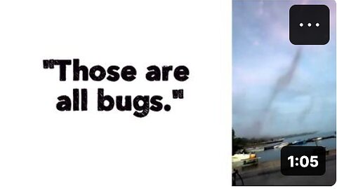 "Those are all bugs."