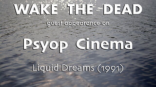 Sean McCann on Psyop Cinema 'Liquid Dreams' (1991) film review