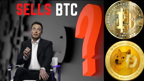 Elon Musk Dumps Bitcoin