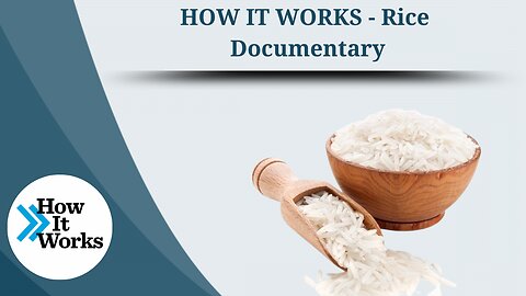 HOW IT WORKS - Rice | Documentary