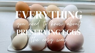 Everything you need to know about preserving eggs the easy way