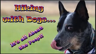 Hiking with Dogs 🐾 - My Tips; Dog Poop to Bag or Not to Bag