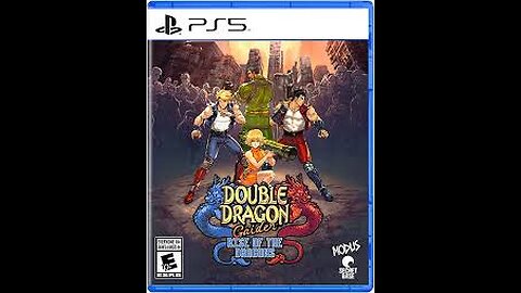 Double Dragon 🐉 Rise of The Gaiden PS5