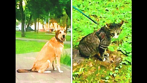 🐈Кот Дизель и его 🐕 Друг в мультипликации.