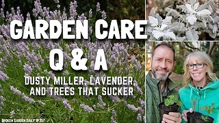 🌿 Gardening Questions (in lieu of our Saturday Morning Live) - SGD 357 🌿