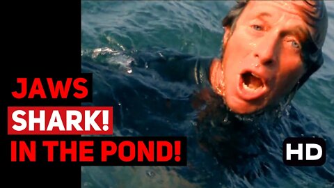 Jaws: Shark in the Pond