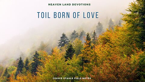 Heaven Land Devotions - Toil Born Of Love