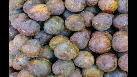 Typical fruits and flowers of Borneo Island